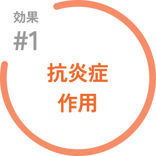 効果#1 抗炎症作用