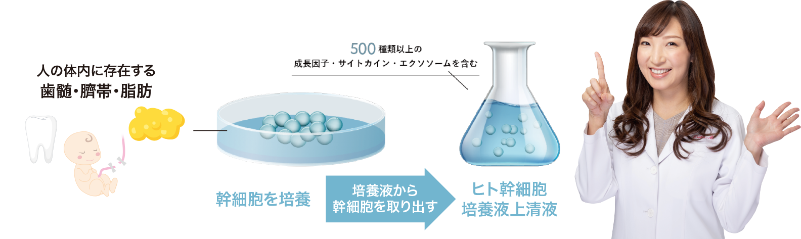 幹細胞培養上清液の品質が重要