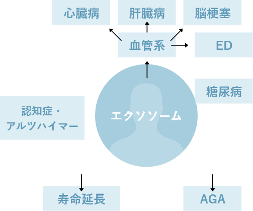 期待できる効果の例