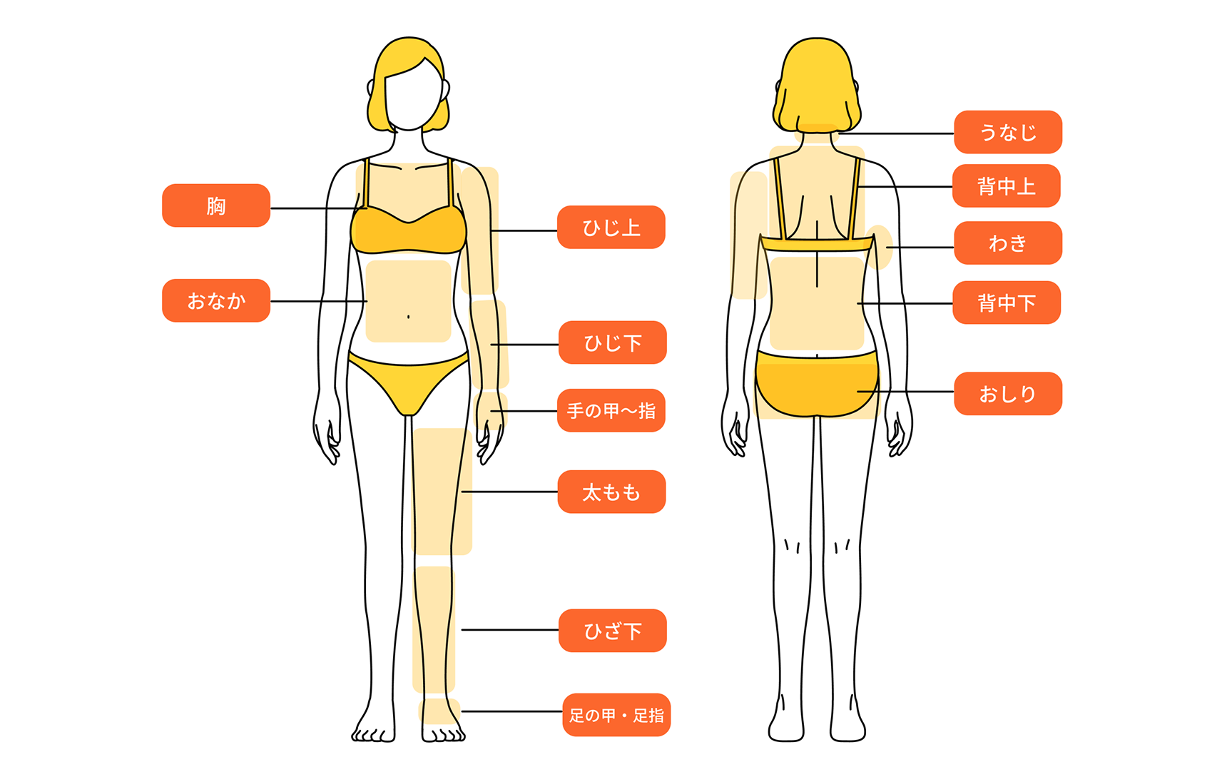 身体の脱毛部位