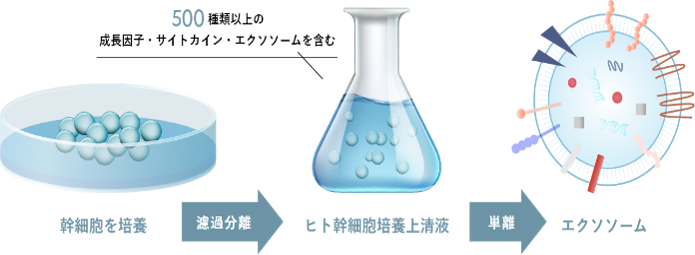 幹細胞培養上清液とは？