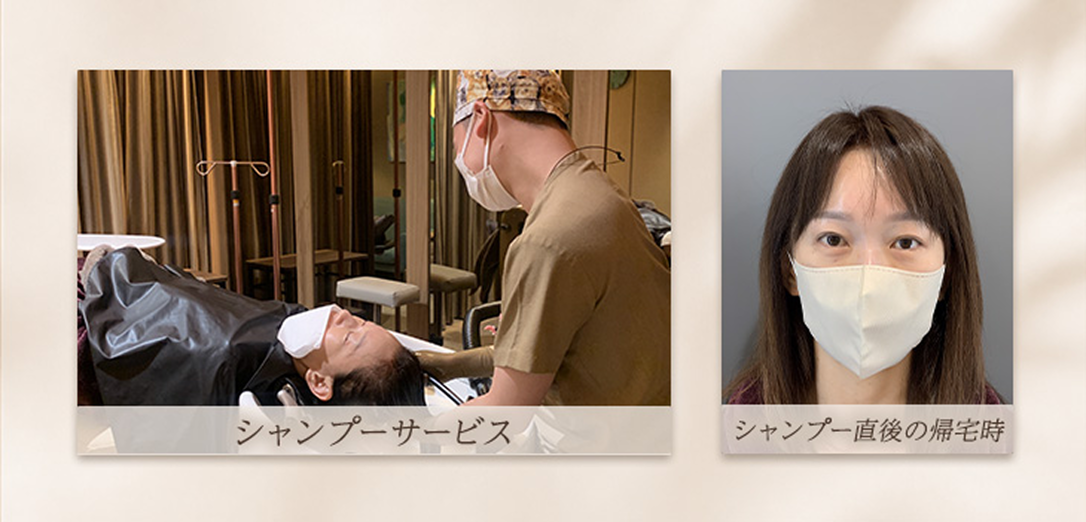 シャンプーサービスの様子