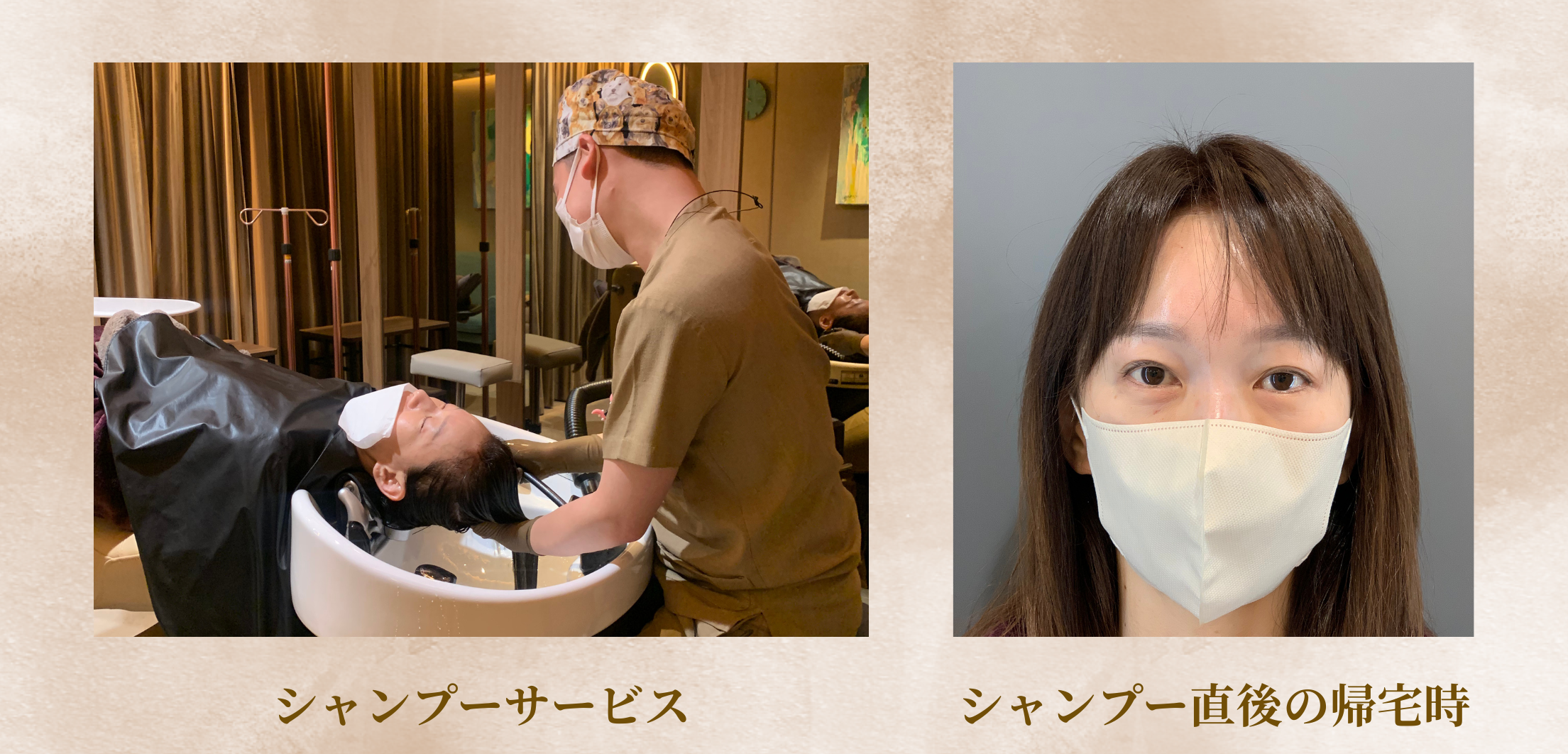 シャンプーサービスの様子